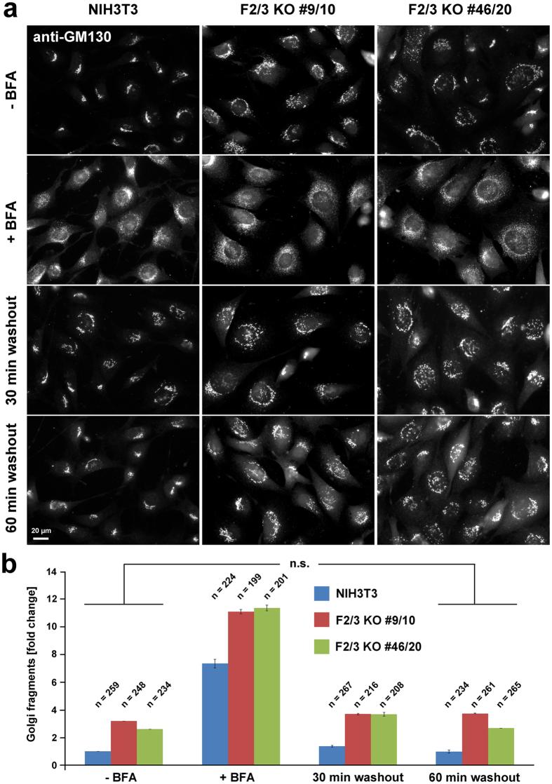 https://cdn.ncbi.nlm.nih.gov/pmc/blobs/a680/5575334/9b0970372cf0/41598_2017_9952_Fig7_HTML.jpg