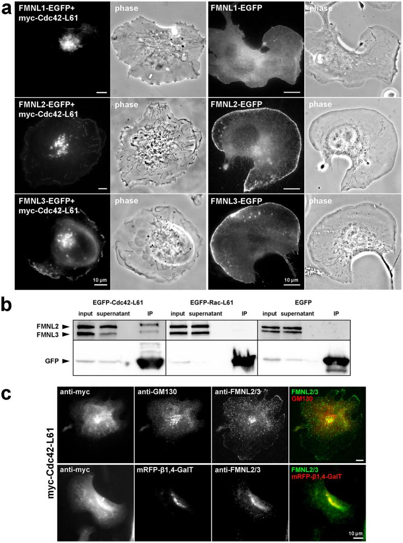 https://cdn.ncbi.nlm.nih.gov/pmc/blobs/a680/5575334/a55cefcf22c8/41598_2017_9952_Fig1_HTML.jpg