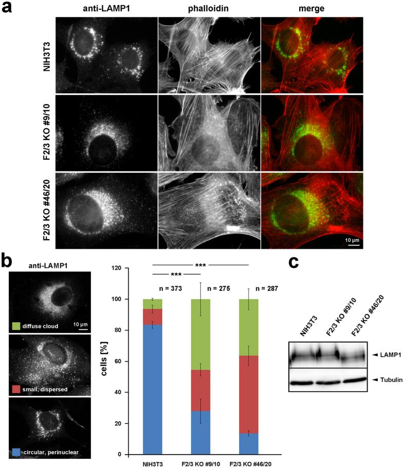 https://cdn.ncbi.nlm.nih.gov/pmc/blobs/a680/5575334/b9b3859eac1e/41598_2017_9952_Fig6_HTML.jpg