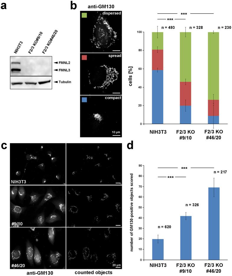 https://cdn.ncbi.nlm.nih.gov/pmc/blobs/a680/5575334/bc2badafceff/41598_2017_9952_Fig3_HTML.jpg