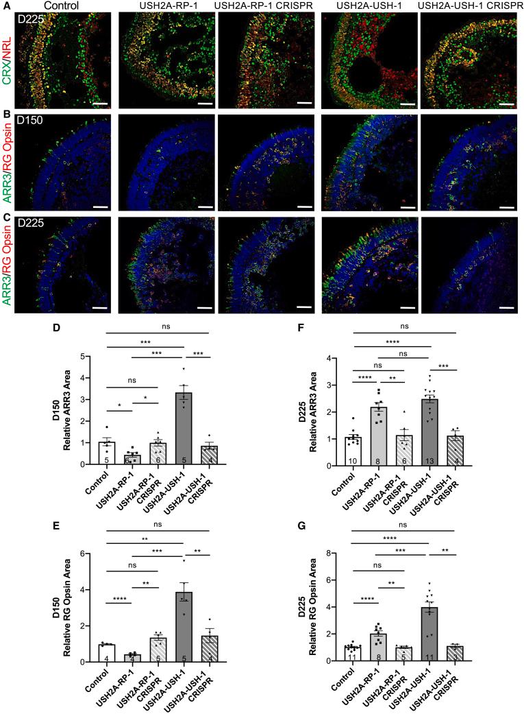 https://cdn.ncbi.nlm.nih.gov/pmc/blobs/a682/10465966/7cc0eb0cdf80/gr6.jpg