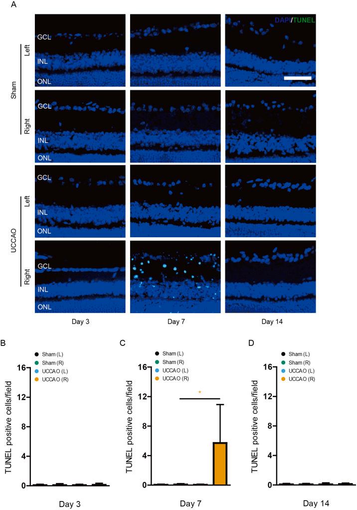 https://cdn.ncbi.nlm.nih.gov/pmc/blobs/a685/8223895/b98a618993d7/peerj-09-11665-g008.jpg