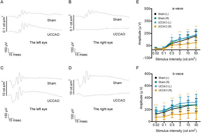 https://cdn.ncbi.nlm.nih.gov/pmc/blobs/a685/8223895/cb6bedafce31/peerj-09-11665-g003.jpg