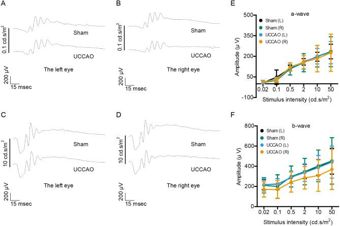 https://cdn.ncbi.nlm.nih.gov/pmc/blobs/a685/8223895/de874473617c/peerj-09-11665-g001.jpg