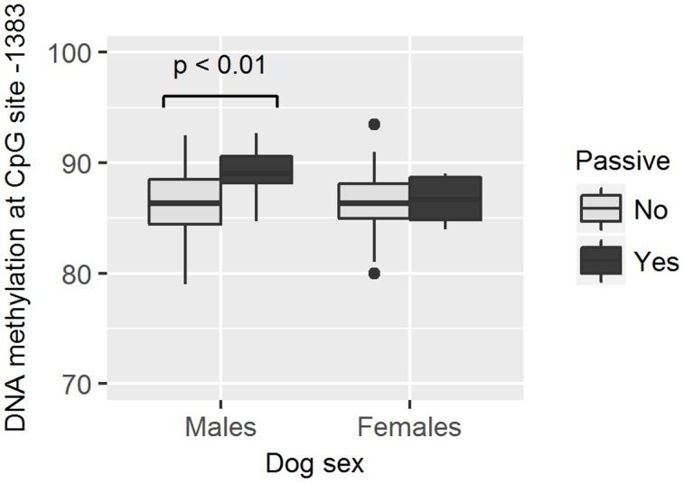 https://cdn.ncbi.nlm.nih.gov/pmc/blobs/a686/5385375/bb12b5251e52/fpsyg-08-00549-g008.jpg