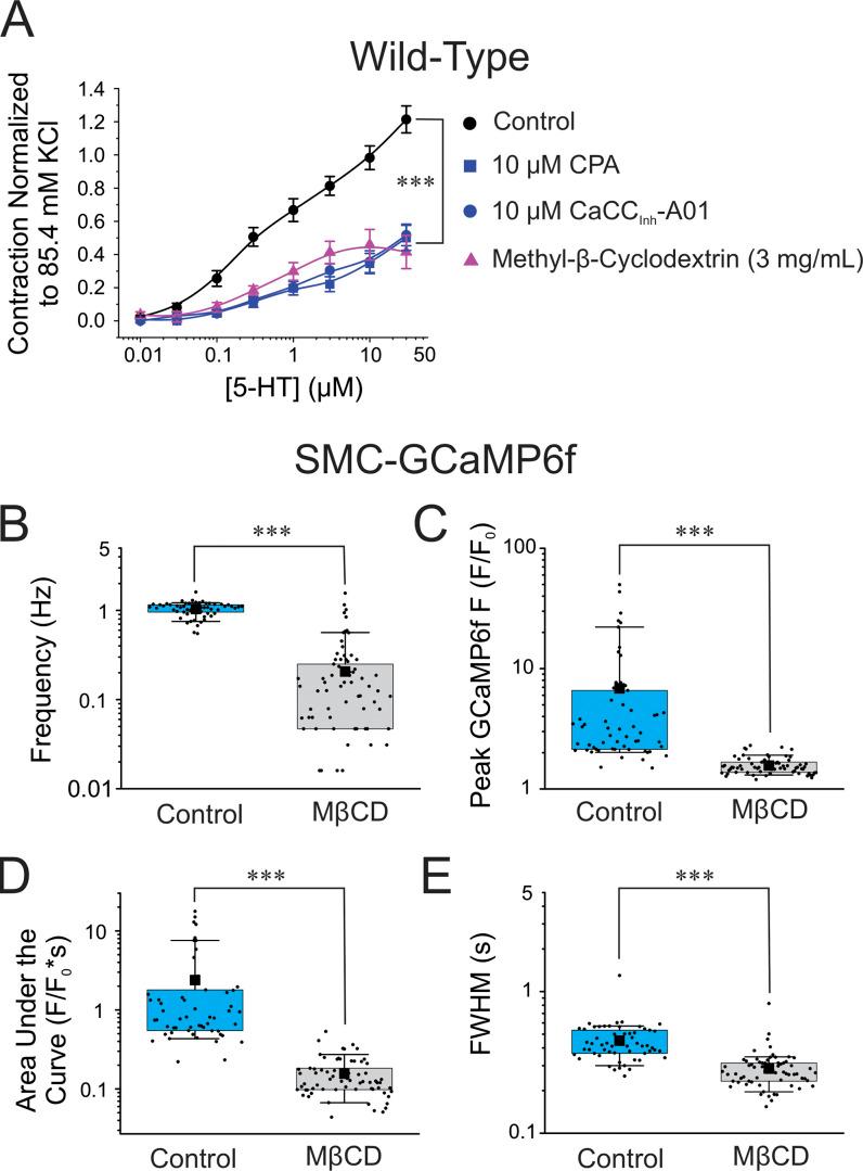 https://cdn.ncbi.nlm.nih.gov/pmc/blobs/a689/10499037/66eb3ab15995/JGP_202213217_Fig11.jpg