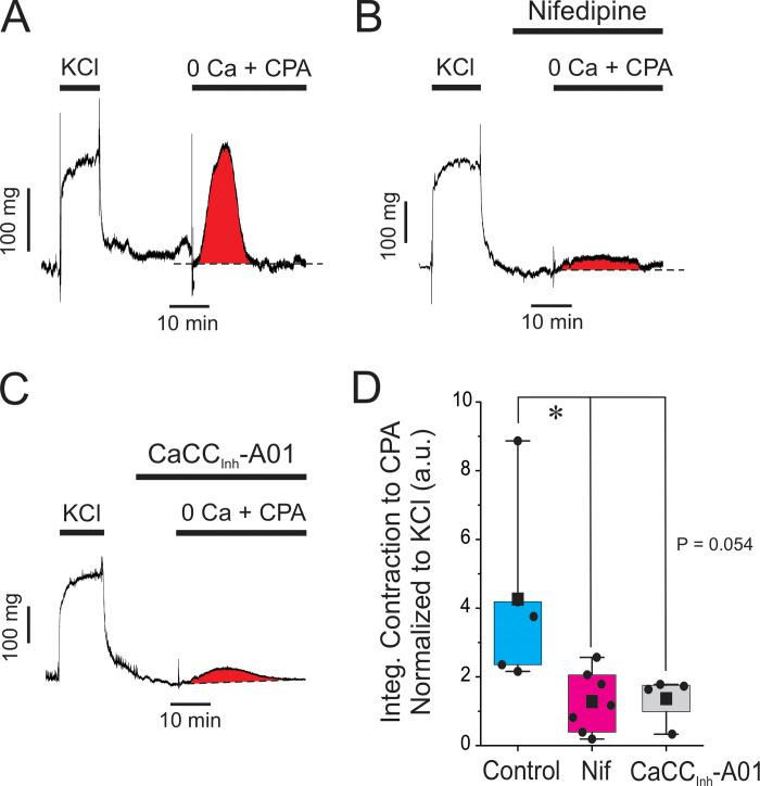 https://cdn.ncbi.nlm.nih.gov/pmc/blobs/a689/10499037/6a3108df4e5a/JGP_202213217_Fig7.jpg