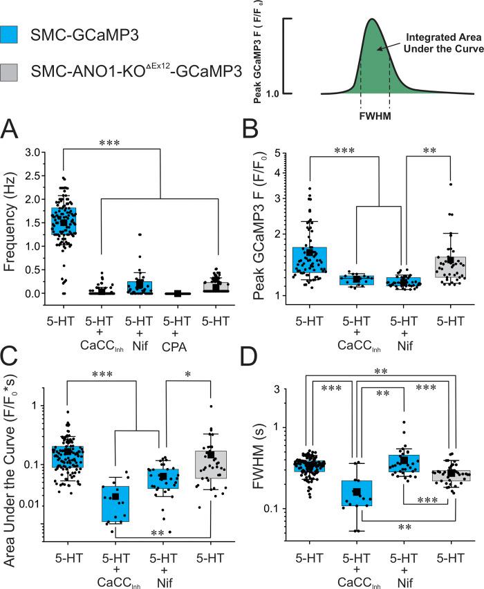 https://cdn.ncbi.nlm.nih.gov/pmc/blobs/a689/10499037/746672ad8c9f/JGP_202213217_Fig6.jpg
