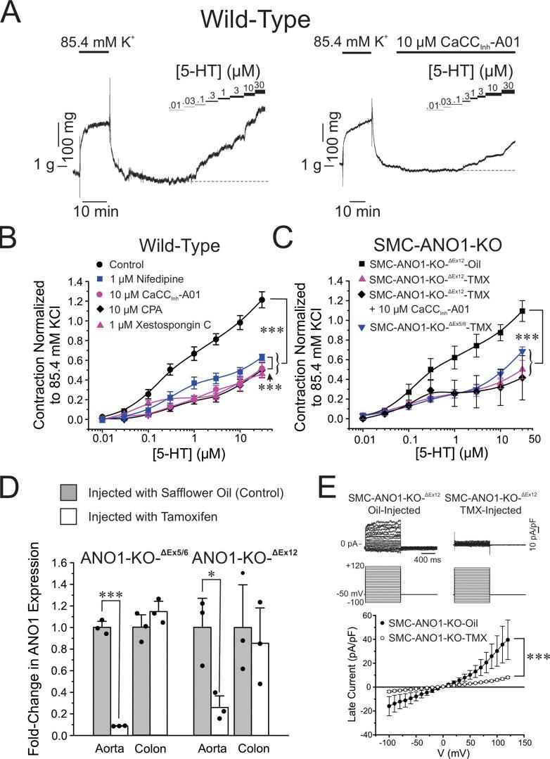https://cdn.ncbi.nlm.nih.gov/pmc/blobs/a689/10499037/b67458be3b9f/JGP_202213217_Fig1.jpg