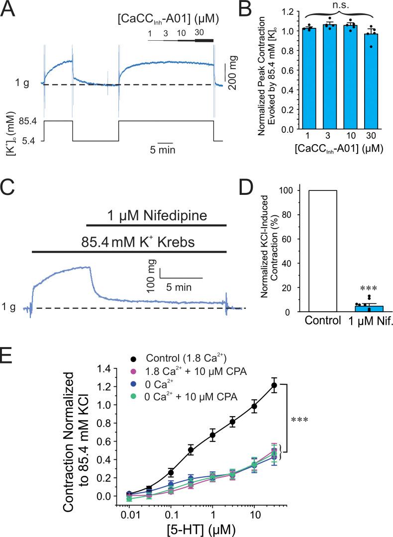 https://cdn.ncbi.nlm.nih.gov/pmc/blobs/a689/10499037/c12fbc464d60/JGP_202213217_Fig2.jpg
