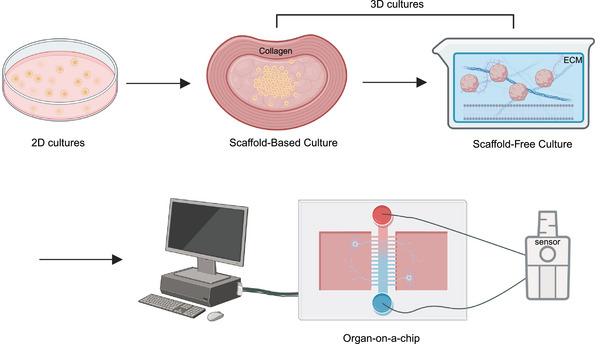 https://cdn.ncbi.nlm.nih.gov/pmc/blobs/a689/11577303/8e76f812f2b5/MCO2-5-e70012-g003.jpg