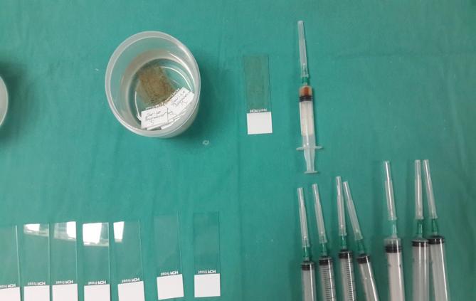 https://cdn.ncbi.nlm.nih.gov/pmc/blobs/a68a/4995479/b1beead8757d/gr8.jpg