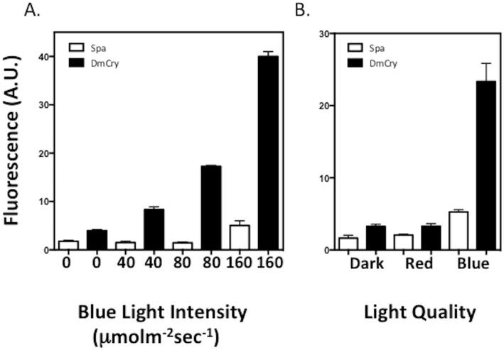 https://cdn.ncbi.nlm.nih.gov/pmc/blobs/a68a/5351967/2e5314a4aefb/pone.0171836.g004.jpg