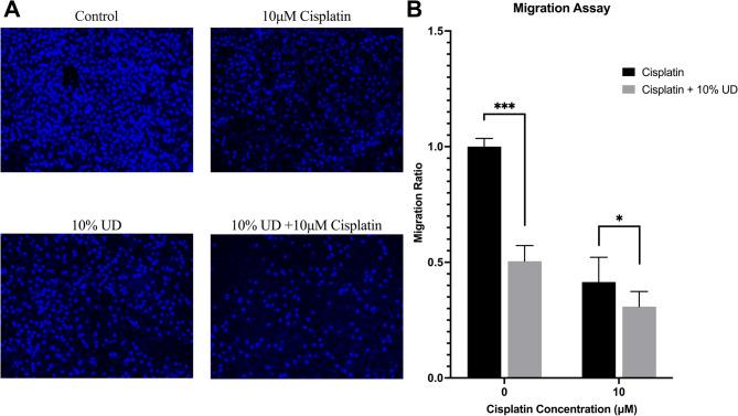 https://cdn.ncbi.nlm.nih.gov/pmc/blobs/a68c/12351894/1bc7cc92637c/12906_2025_5053_Fig7_HTML.jpg