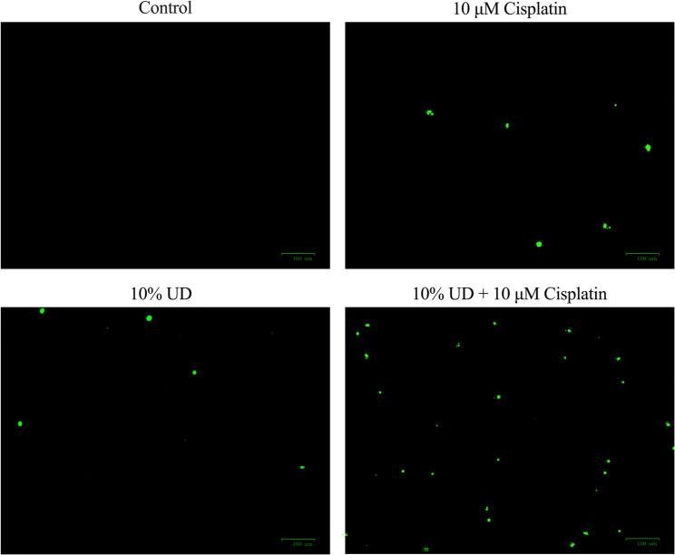 https://cdn.ncbi.nlm.nih.gov/pmc/blobs/a68c/12351894/6bd872fc69f6/12906_2025_5053_Fig3_HTML.jpg