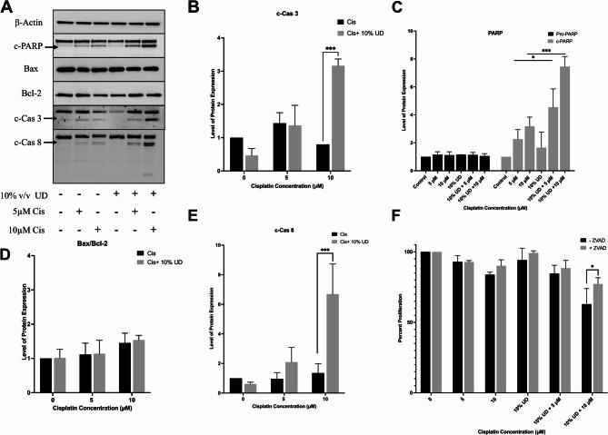 https://cdn.ncbi.nlm.nih.gov/pmc/blobs/a68c/12351894/70d526337b90/12906_2025_5053_Fig5_HTML.jpg