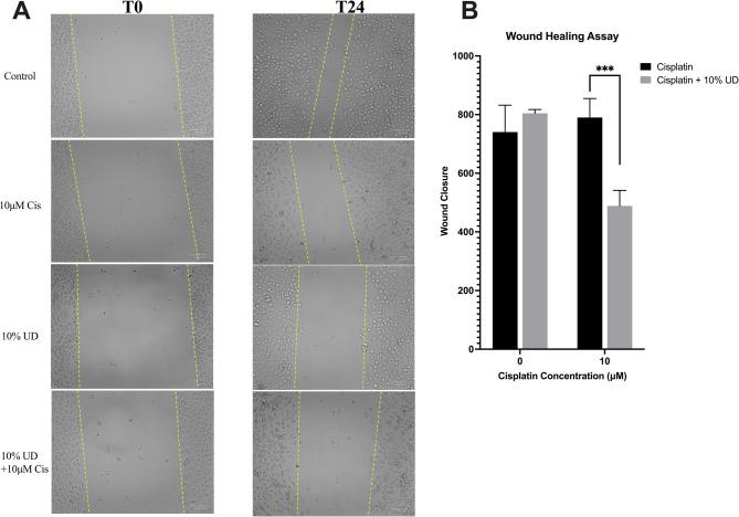 https://cdn.ncbi.nlm.nih.gov/pmc/blobs/a68c/12351894/7366721f4849/12906_2025_5053_Fig6_HTML.jpg