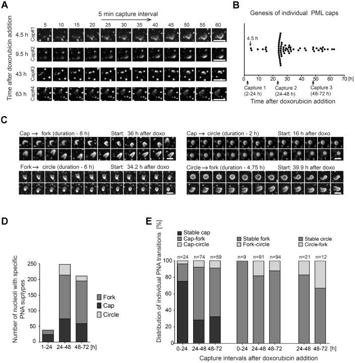 https://cdn.ncbi.nlm.nih.gov/pmc/blobs/a68d/6756913/8748224677b3/aging-11-102248-g004.jpg