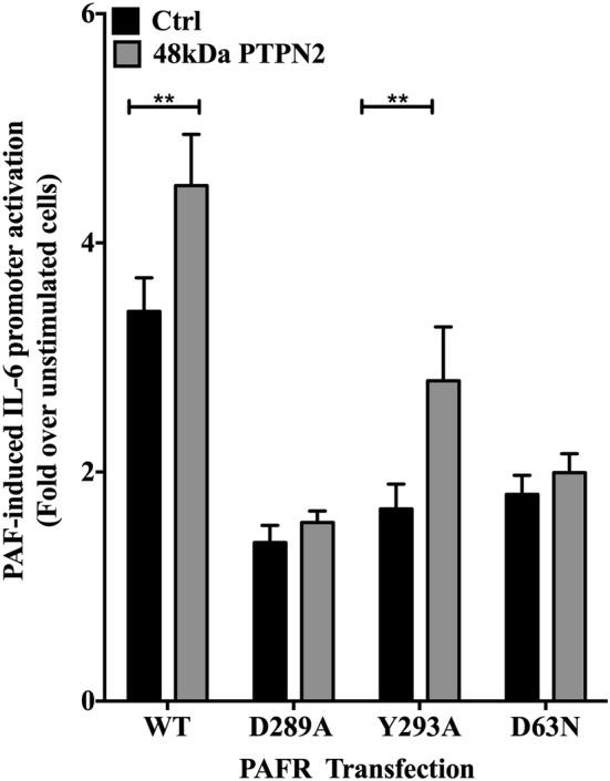 https://cdn.ncbi.nlm.nih.gov/pmc/blobs/a68f/6593612/cc496dc59aeb/13578_2019_316_Fig4_HTML.jpg