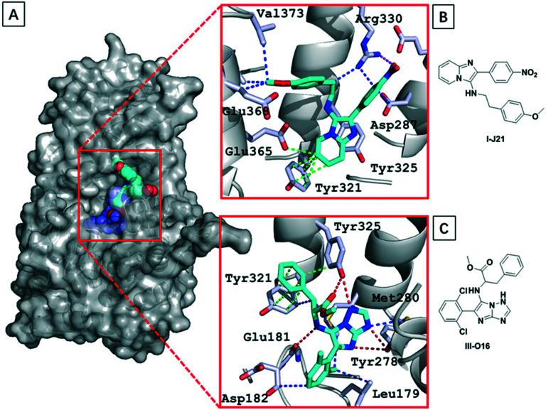 https://cdn.ncbi.nlm.nih.gov/pmc/blobs/a691/8152715/c78f7c89f6f1/d1md00087j-f6.jpg
