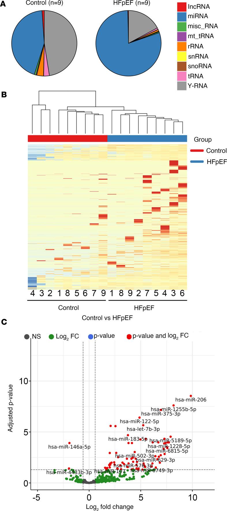 https://cdn.ncbi.nlm.nih.gov/pmc/blobs/a692/10721327/c9afc1464b08/jciinsight-8-165172-g260.jpg