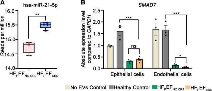 https://cdn.ncbi.nlm.nih.gov/pmc/blobs/a692/10721327/ebad32ff51b4/jciinsight-8-165172-g264.jpg