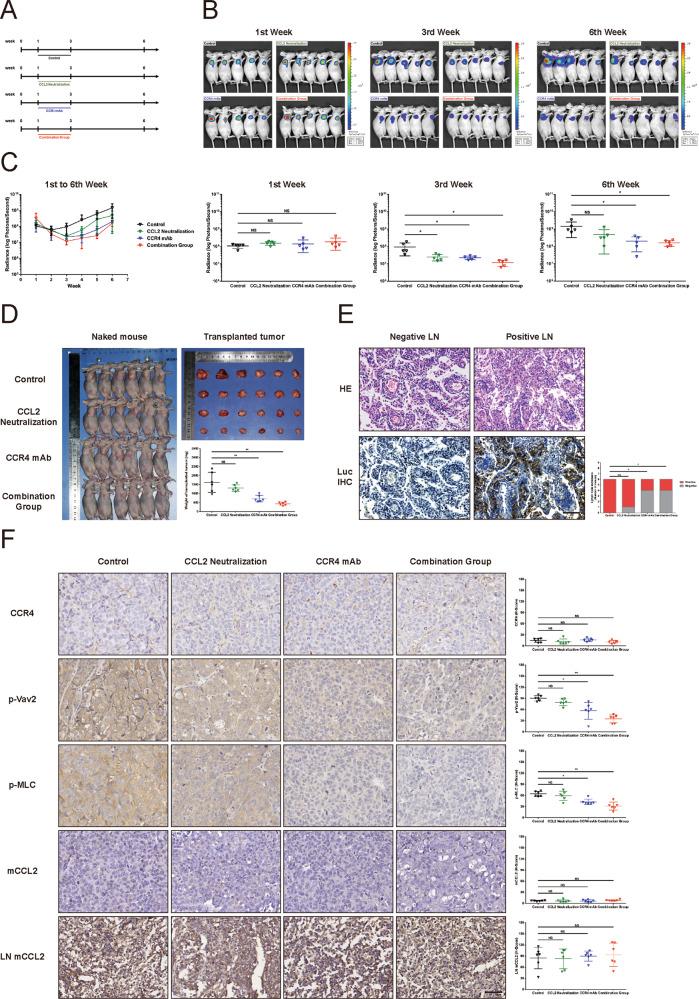 https://cdn.ncbi.nlm.nih.gov/pmc/blobs/a692/8854715/9166783c44db/41419_2022_4610_Fig5_HTML.jpg