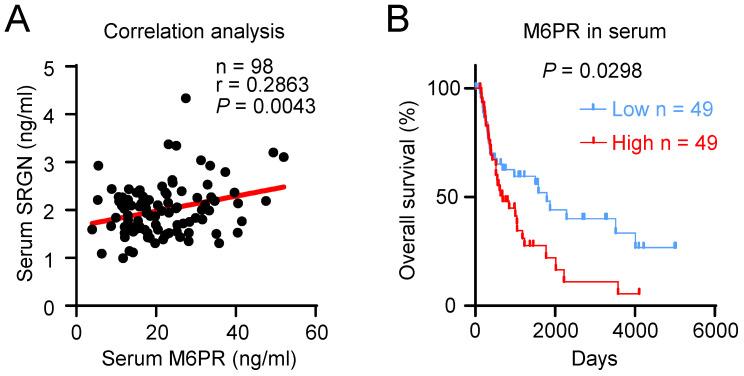 https://cdn.ncbi.nlm.nih.gov/pmc/blobs/a692/9830512/ab612c2cce37/ijbsv19p0625g005.jpg