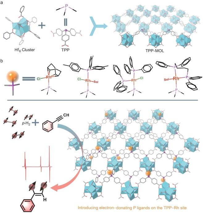https://cdn.ncbi.nlm.nih.gov/pmc/blobs/a695/11702662/6edf592ce54a/nwae406fig1.jpg