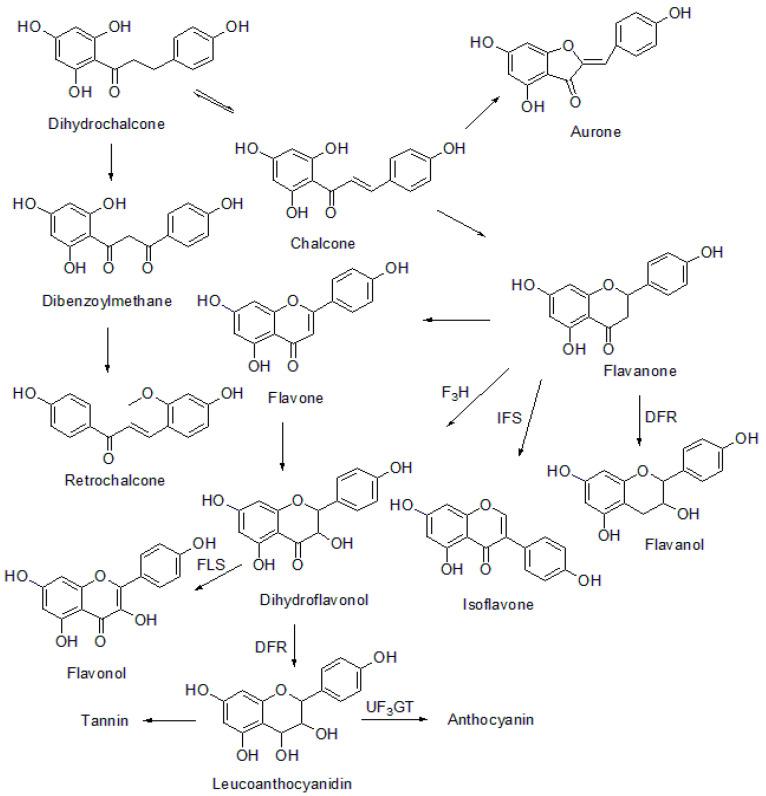 https://cdn.ncbi.nlm.nih.gov/pmc/blobs/a696/8659147/681454e0e1a6/molecules-26-07177-g003.jpg