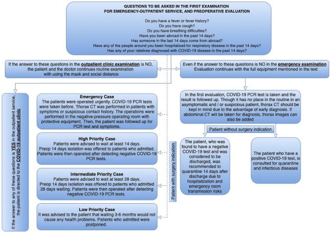 https://cdn.ncbi.nlm.nih.gov/pmc/blobs/a697/7312099/cab0d01b3579/11255_2020_2553_Fig1_HTML.jpg