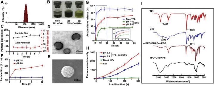 https://cdn.ncbi.nlm.nih.gov/pmc/blobs/a69b/9091603/49962a7c30de/gr2.jpg