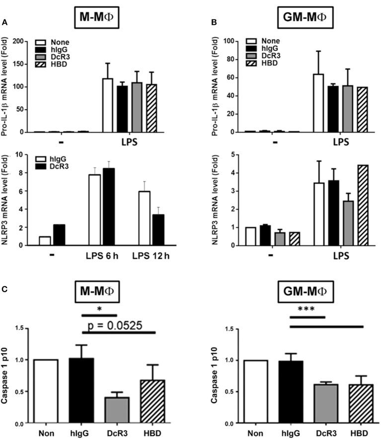 https://cdn.ncbi.nlm.nih.gov/pmc/blobs/a69d/7966727/8c34cebb6dcf/fimmu-12-638676-g0002.jpg