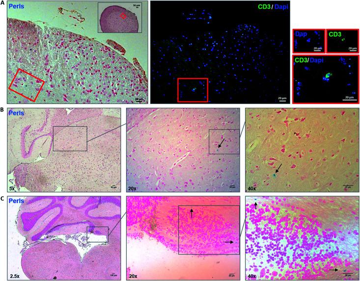 https://cdn.ncbi.nlm.nih.gov/pmc/blobs/a69e/9076978/e2ba2ac40b6b/c7ra11290d-f5.jpg