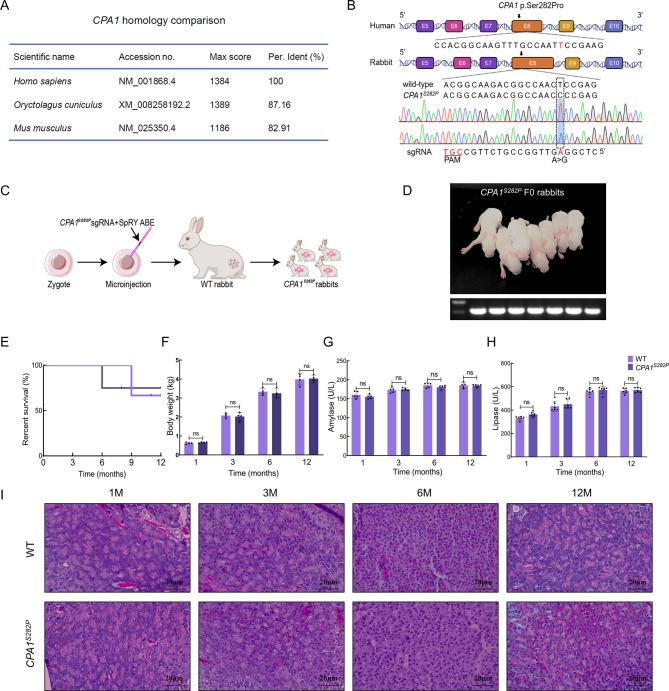 https://cdn.ncbi.nlm.nih.gov/pmc/blobs/a69f/12361900/576e5a03f085/zr-46-3-647-1.jpg