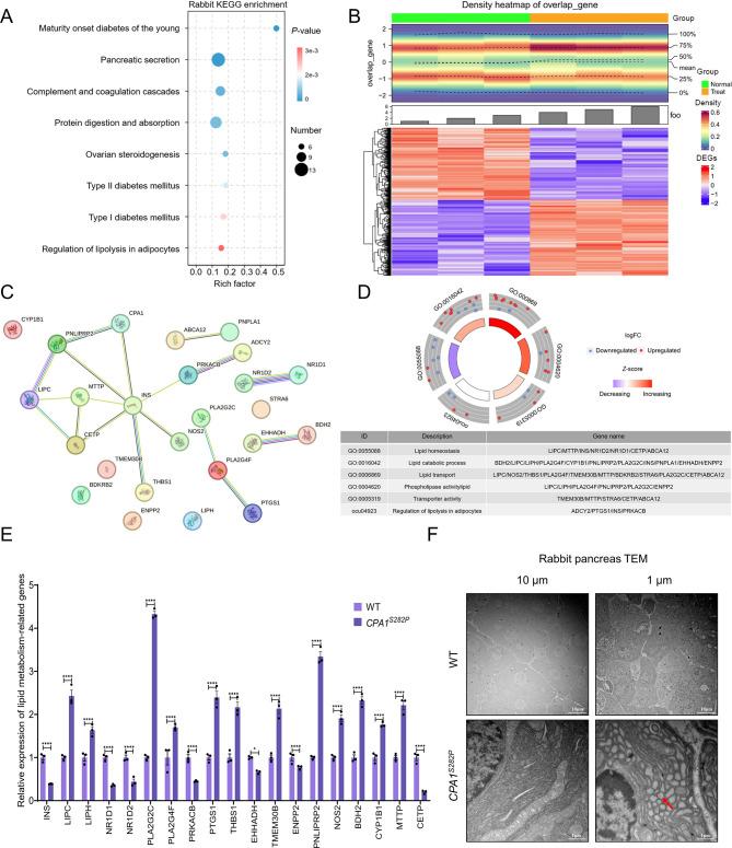 https://cdn.ncbi.nlm.nih.gov/pmc/blobs/a69f/12361900/abc4129e9714/zr-46-3-647-4.jpg