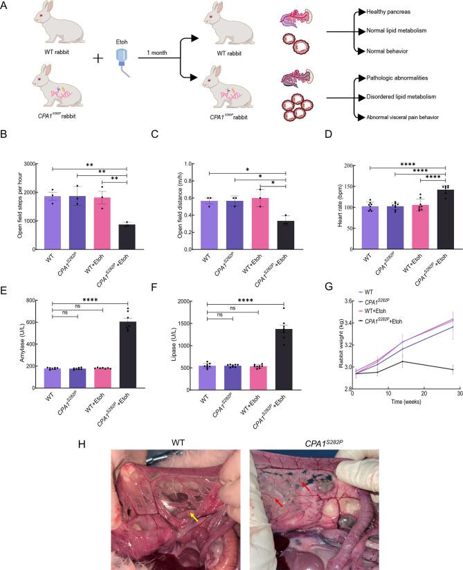 https://cdn.ncbi.nlm.nih.gov/pmc/blobs/a69f/12361900/d59ccf63f709/zr-46-3-647-2.jpg