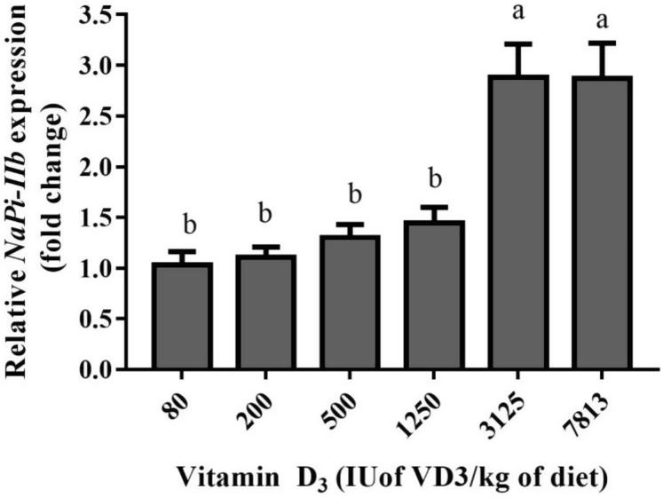 https://cdn.ncbi.nlm.nih.gov/pmc/blobs/a6a2/7587629/dca8323d9426/gr2.jpg