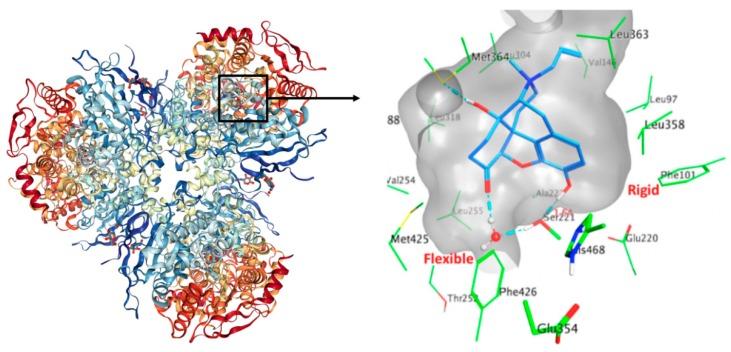 https://cdn.ncbi.nlm.nih.gov/pmc/blobs/a6a3/6696021/df097f9826fb/molecules-24-02747-g001.jpg