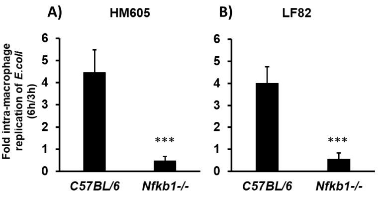 https://cdn.ncbi.nlm.nih.gov/pmc/blobs/a6a4/6630736/18277ffc3360/pathogens-08-00074-g006.jpg