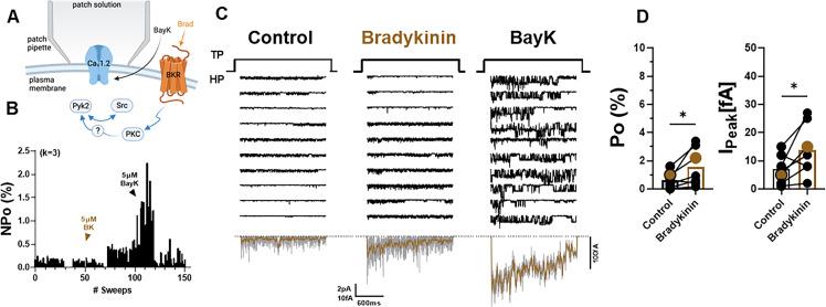 https://cdn.ncbi.nlm.nih.gov/pmc/blobs/a6a8/10325713/8921a5cfb266/elife-79648-fig6.jpg