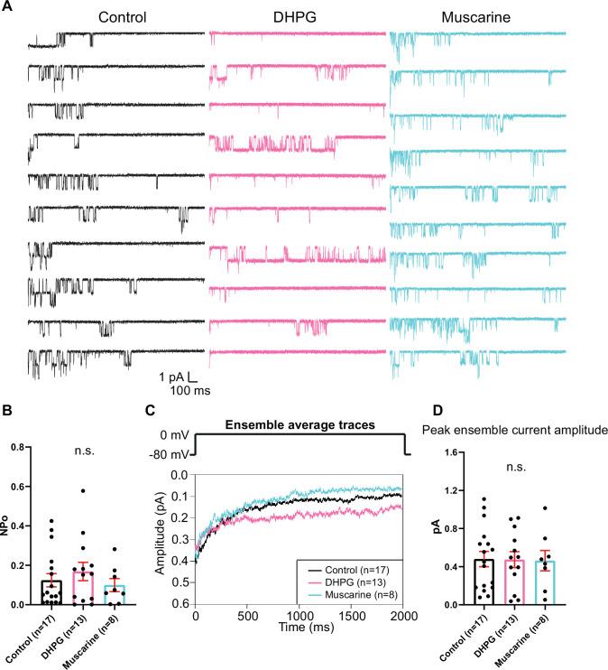https://cdn.ncbi.nlm.nih.gov/pmc/blobs/a6a8/10325713/b31e11370b26/elife-79648-fig2-figsupp1.jpg