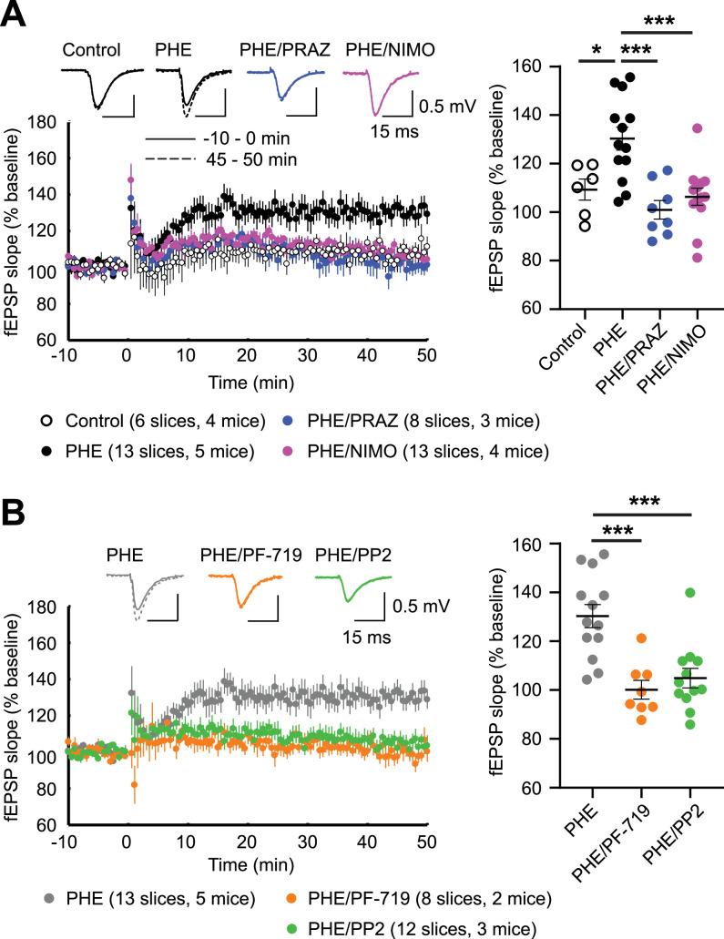 https://cdn.ncbi.nlm.nih.gov/pmc/blobs/a6a8/10325713/db2e4890734a/elife-79648-fig11.jpg