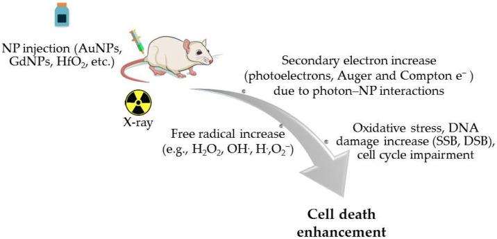 https://cdn.ncbi.nlm.nih.gov/pmc/blobs/a6a8/11899074/0845e41983fe/cancers-17-00899-g002.jpg