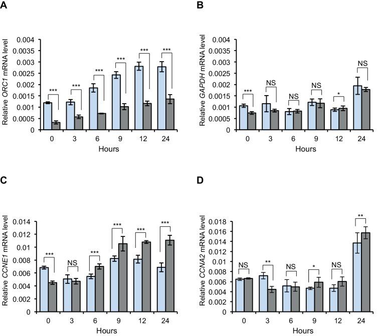 https://cdn.ncbi.nlm.nih.gov/pmc/blobs/a6a9/4987141/5134c4eb2dc4/elife-12785-fig1-figsupp1.jpg