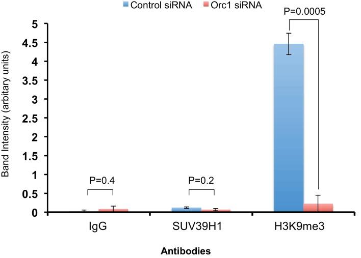https://cdn.ncbi.nlm.nih.gov/pmc/blobs/a6a9/4987141/5f5bdf930a1f/elife-12785-fig6-figsupp1.jpg