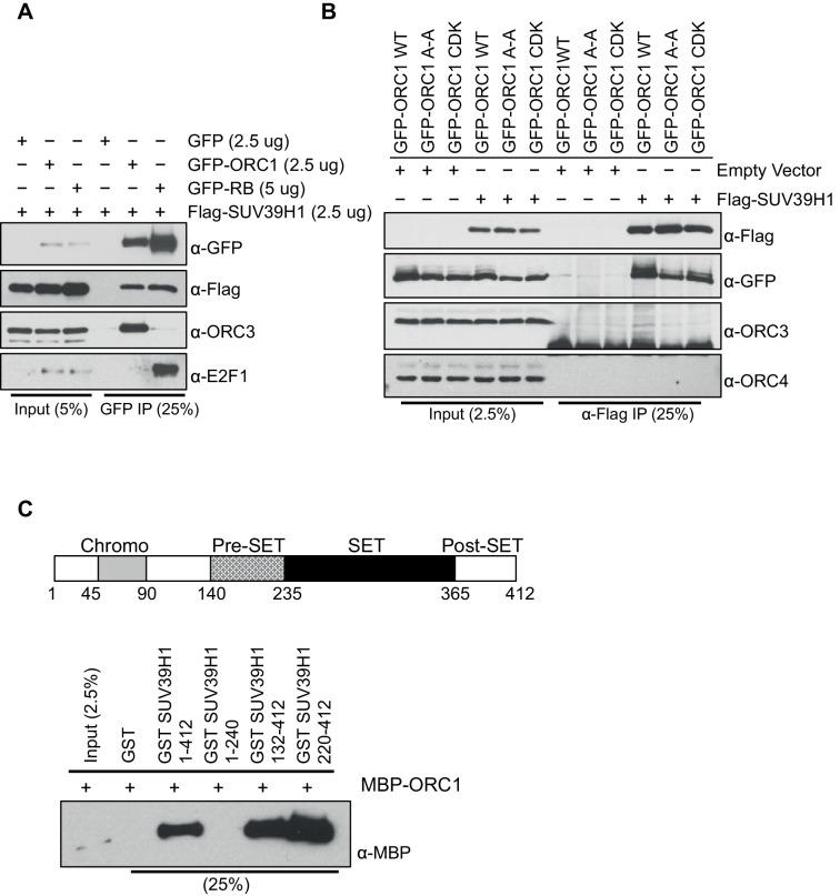 https://cdn.ncbi.nlm.nih.gov/pmc/blobs/a6a9/4987141/b0cbd4e74ada/elife-12785-fig2-figsupp3.jpg