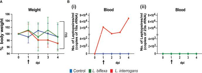 https://cdn.ncbi.nlm.nih.gov/pmc/blobs/a6ac/8264587/27dd4e222cc9/fcimb-11-677999-g001.jpg