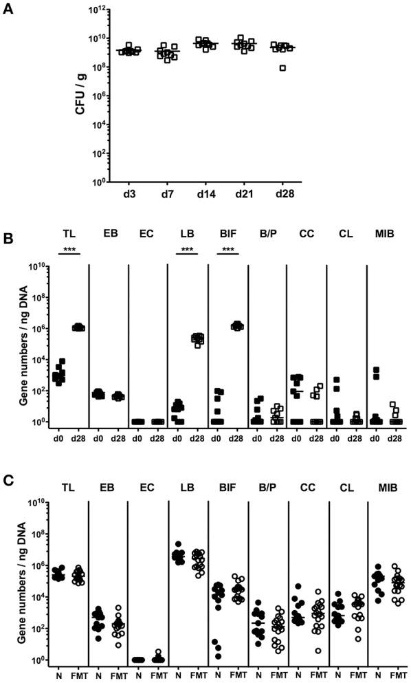 https://cdn.ncbi.nlm.nih.gov/pmc/blobs/a6ae/5418240/bfa781a487a0/fcimb-07-00167-g0001.jpg