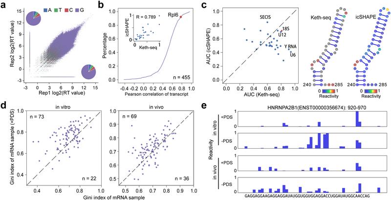 https://cdn.ncbi.nlm.nih.gov/pmc/blobs/a6ae/7182492/2eaf76c72b84/nihms-1547030-f0002.jpg